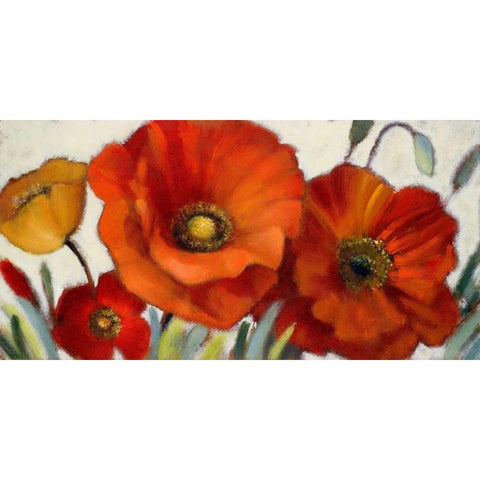 Poppy Splendor I Black Modern Wood Framed Art Print with Double Matting by Loreth, Lanie