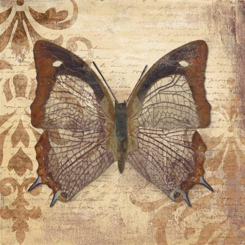 Butterfly White Modern Wood Framed Art Print by Pinto, Patricia