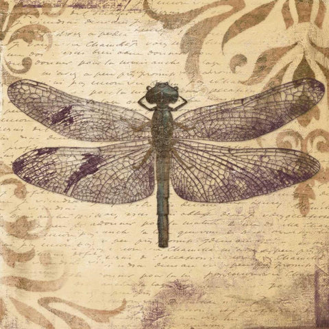Dragonfly White Modern Wood Framed Art Print by Pinto, Patricia