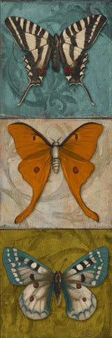 Blue Wings I White Modern Wood Framed Art Print with Double Matting by Pinto, Patricia