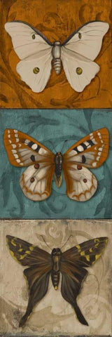 Blue Wings II Black Ornate Wood Framed Art Print with Double Matting by Pinto, Patricia