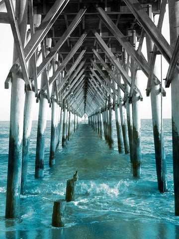 Teal Dock I Black Ornate Wood Framed Art Print with Double Matting by Rodriguez, Jairo
