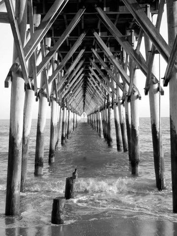 By the Dock I White Modern Wood Framed Art Print with Double Matting by Rodriguez, Jairo