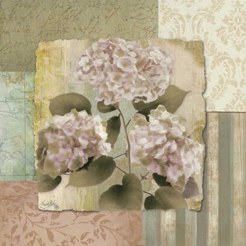 Botanical Hydrangeas White Modern Wood Framed Art Print by Medley, Elizabeth