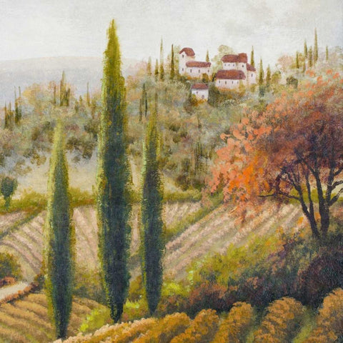Tuscany Vineyard II White Modern Wood Framed Art Print with Double Matting by Marcon, Michael