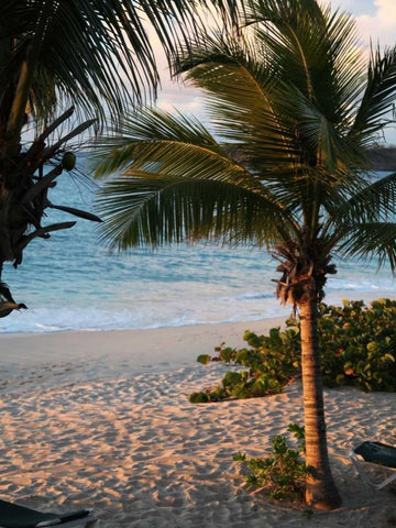 Sunset Palms II Black Ornate Wood Framed Art Print with Double Matting by Bryant, Susan