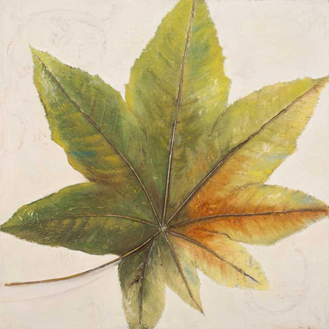 Simple and Beauty I Black Ornate Wood Framed Art Print with Double Matting by Pinto, Patricia