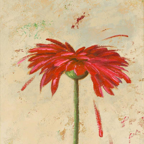 Tiny Flower Square II White Modern Wood Framed Art Print by Pinto, Patricia