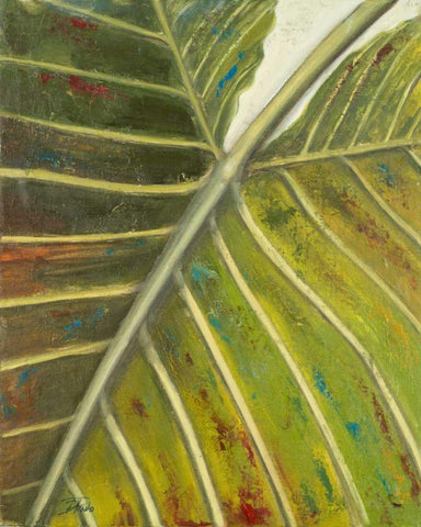 Green Zoom I White Modern Wood Framed Art Print with Double Matting by Pinto, Patricia