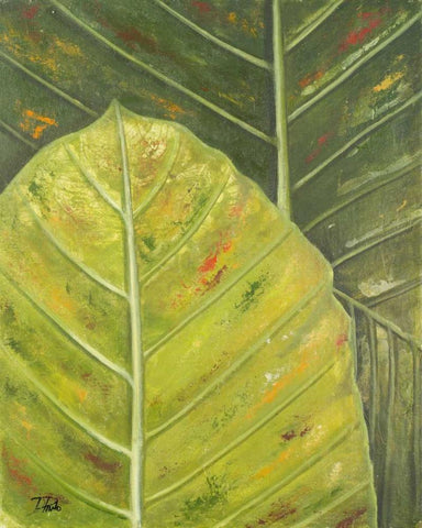 Green Zoom II White Modern Wood Framed Art Print with Double Matting by Pinto, Patricia