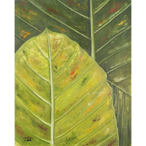 Green Zoom II Black Modern Wood Framed Art Print by Pinto, Patricia