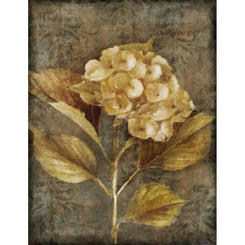 Antique Hydrangea I Black Modern Wood Framed Art Print with Double Matting by Loreth, Lanie