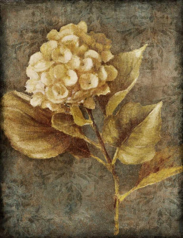 Antique Hydrangea II White Modern Wood Framed Art Print with Double Matting by Loreth, Lanie