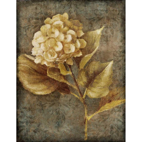 Antique Hydrangea II Black Modern Wood Framed Art Print with Double Matting by Loreth, Lanie