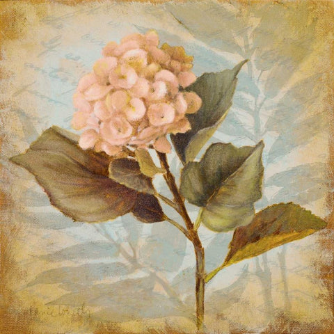 Pink Hydrangea Portrait Black Ornate Wood Framed Art Print with Double Matting by Loreth, Lanie