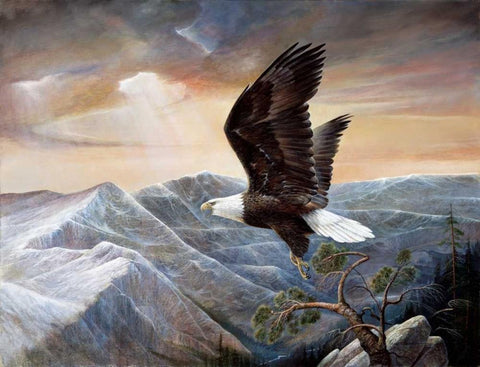 Eagles Lair White Modern Wood Framed Art Print with Double Matting by Manning, Ruane