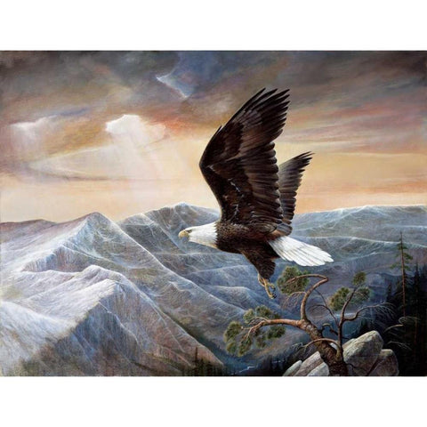 Eagles Lair Black Modern Wood Framed Art Print by Manning, Ruane