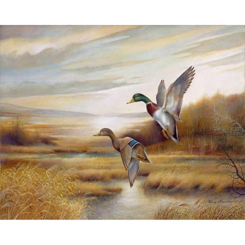 Mallards Black Modern Wood Framed Art Print with Double Matting by Manning, Ruane