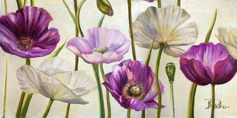 Poppies in Spring I White Modern Wood Framed Art Print with Double Matting by Pinto, Patricia