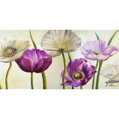 Poppies in Spring II White Modern Wood Framed Art Print by Pinto, Patricia