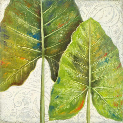 Mafafa II White Modern Wood Framed Art Print with Double Matting by Pinto, Patricia