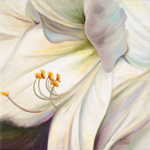 White Lily I Black Modern Wood Framed Art Print by Pinto, Patricia