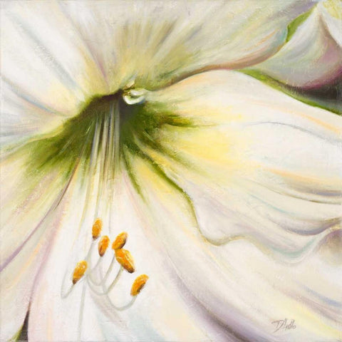 White Lily II Black Modern Wood Framed Art Print by Pinto, Patricia