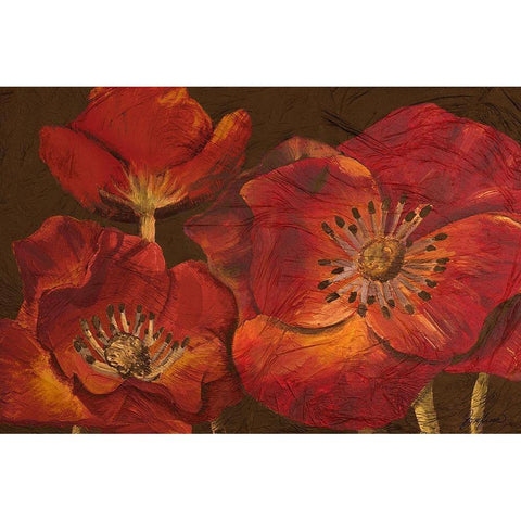 Dazzling Poppies Black Modern Wood Framed Art Print with Double Matting by Josefina