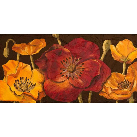 Dazzling Poppies I Black Modern Wood Framed Art Print with Double Matting by Josefina