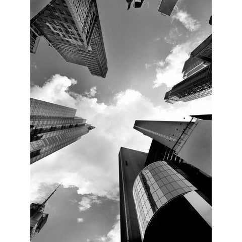 Zenith Black Modern Wood Framed Art Print with Double Matting by Lake, Shelley