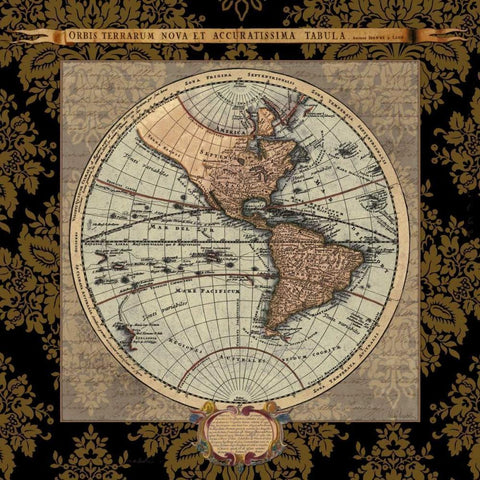 Damask on Black Map II Gold Ornate Wood Framed Art Print with Double Matting by Medley, Elizabeth