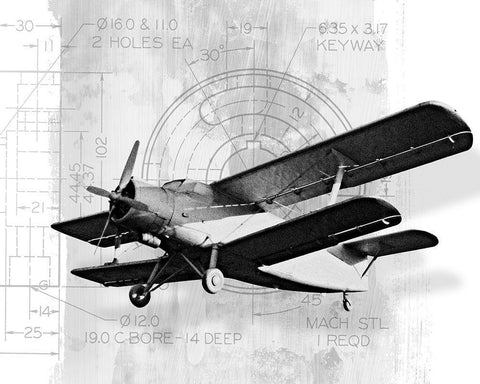 Flight Plans II White Modern Wood Framed Art Print with Double Matting by Marcon, Michael
