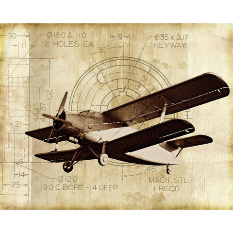 Flight Plans II Gold Ornate Wood Framed Art Print with Double Matting by Marcon, Michael