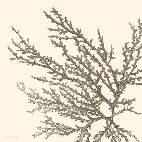 Brown Coastal Coral I White Modern Wood Framed Art Print by Loreth, Lanie