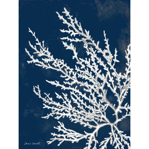 Coastal Coral I Black Modern Wood Framed Art Print with Double Matting by Loreth, Lanie