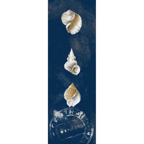 Coastal Shells Panel I Black Modern Wood Framed Art Print by Loreth, Lanie