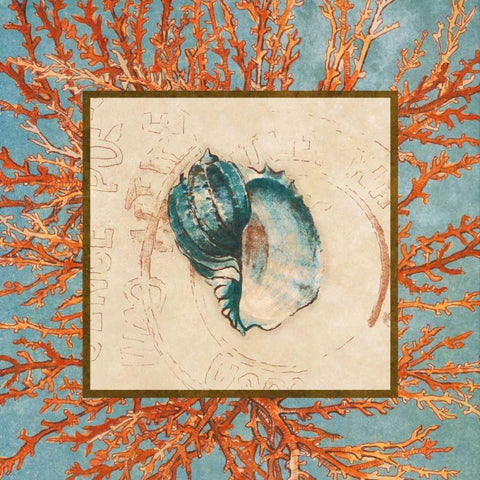 Coral Medley Shell II White Modern Wood Framed Art Print with Double Matting by Loreth, Lanie