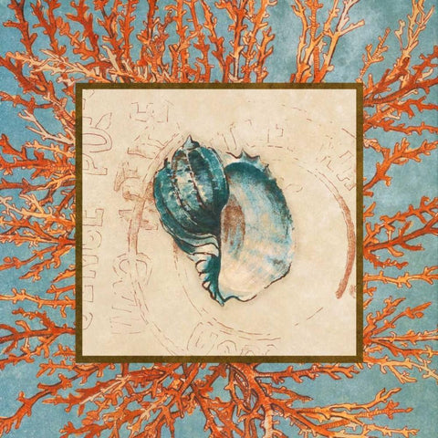 Coral Medley Shell II Gold Ornate Wood Framed Art Print with Double Matting by Loreth, Lanie