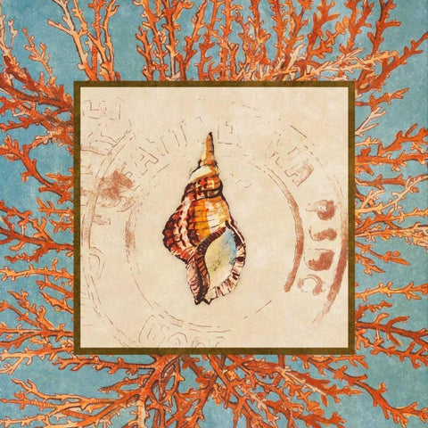 Coral Medley Shell IV White Modern Wood Framed Art Print by Loreth, Lanie