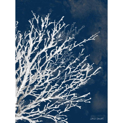 Coastal Coral II Black Modern Wood Framed Art Print with Double Matting by Loreth, Lanie