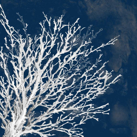 Coastal Coral II Black Modern Wood Framed Art Print with Double Matting by Loreth, Lanie