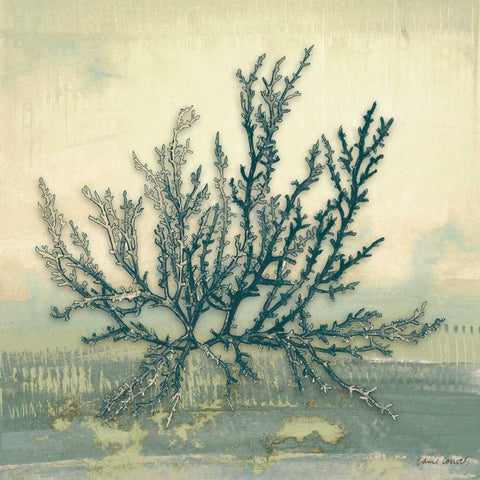 Coastal Coral I Black Modern Wood Framed Art Print with Double Matting by Loreth, Lanie