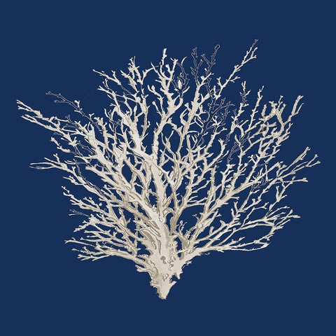 Navy Coral Medley II Black Modern Wood Framed Art Print by Loreth, Lanie