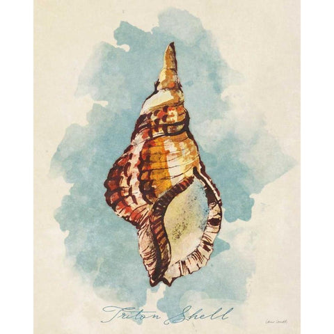 Triton Shell White Modern Wood Framed Art Print by Loreth, Lanie