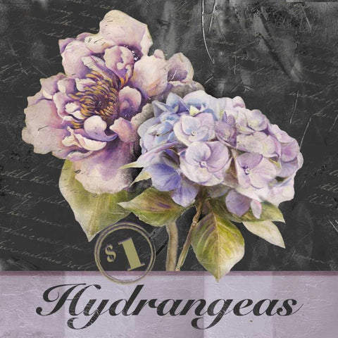 Flower Shop II White Modern Wood Framed Art Print with Double Matting by Pinto, Patricia