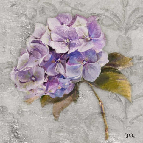 Lavender Flourish Square II White Modern Wood Framed Art Print with Double Matting by Pinto, Patricia