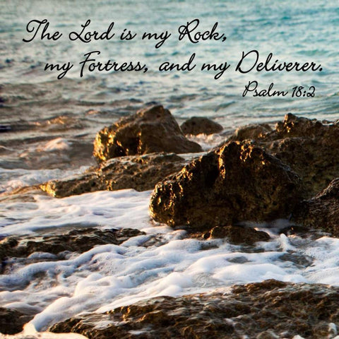 The Lord Is My Black Modern Wood Framed Art Print by Bryant, Susan