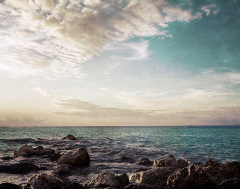 Bimini Shore Black Ornate Wood Framed Art Print with Double Matting by Bryant, Susan