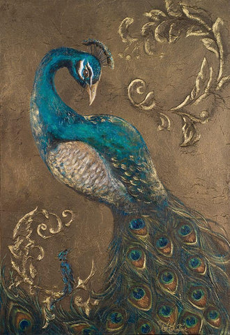 Pershing Peacock I White Modern Wood Framed Art Print with Double Matting by Hakimipour, Tiffany