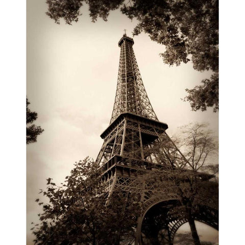 Last Day in Paris I White Modern Wood Framed Art Print by Navas, Emily